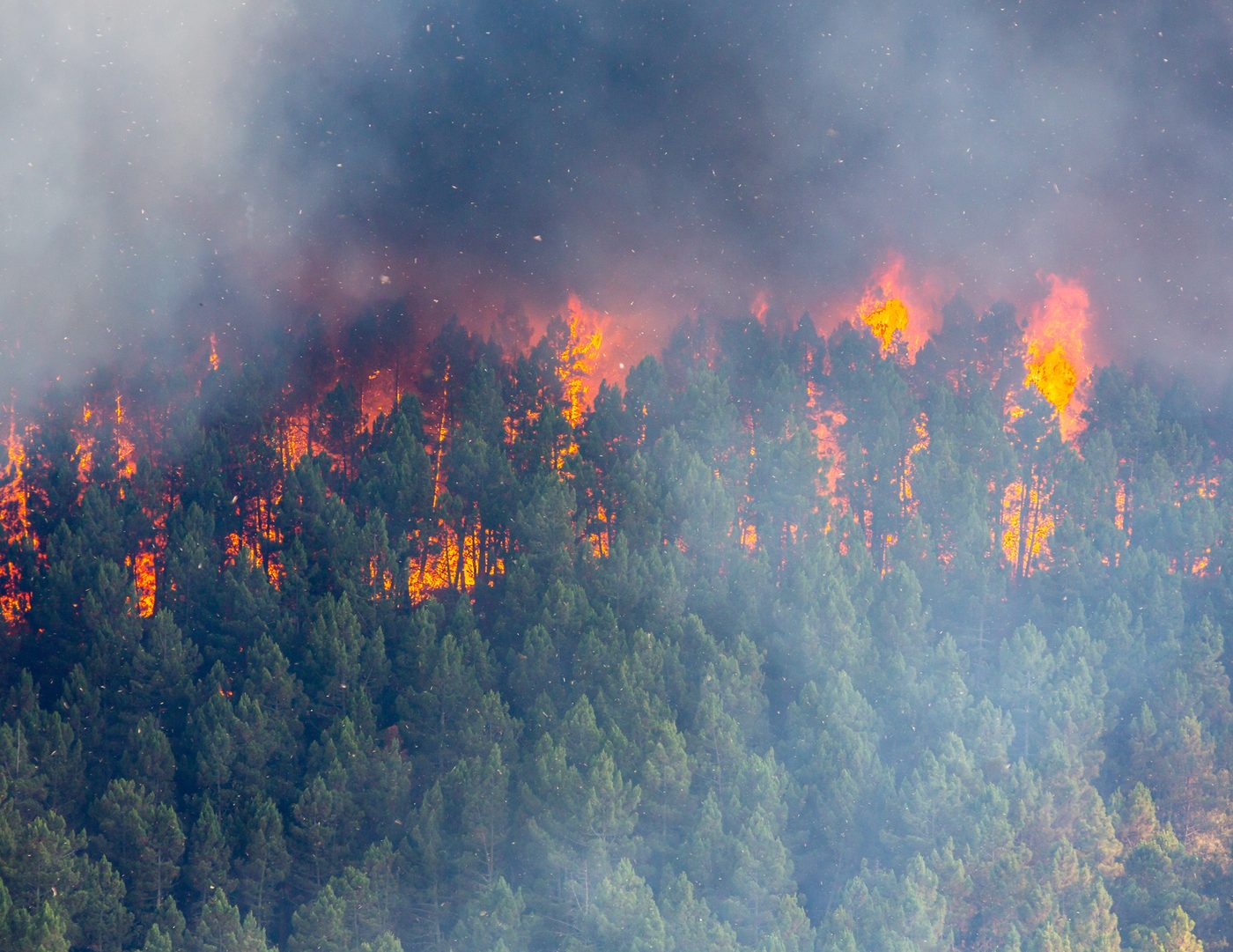 California Wildfires